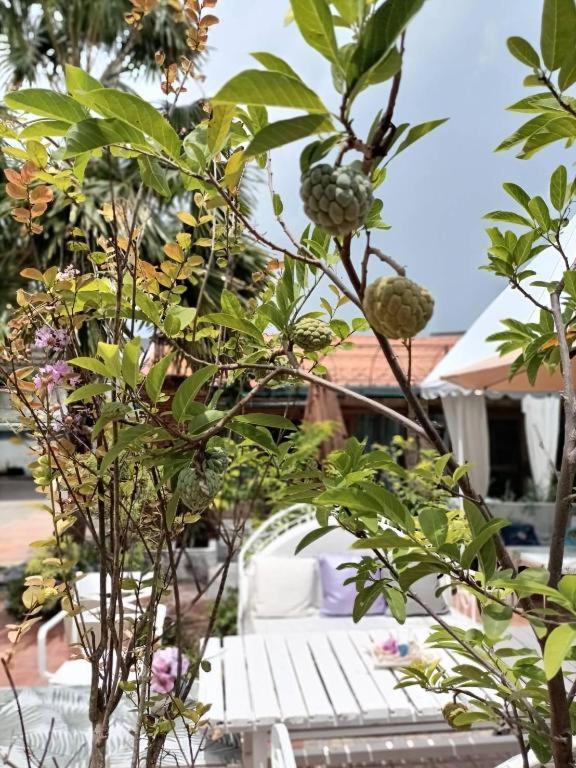 Palm Sweet Hotel Pracsuap Khirikhan Kültér fotó